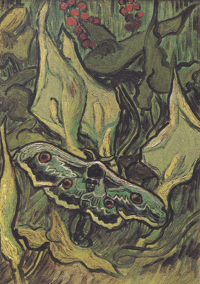 Vincent Van Gogh Death's-Head Moth (nn04)